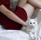 Alice_Kiss