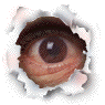 MrsJ
