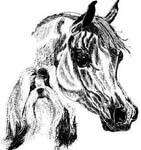 Radmila
