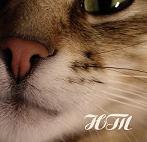 Аврося
