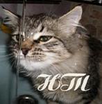 Аврося